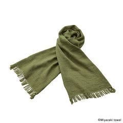 No3こけ緑