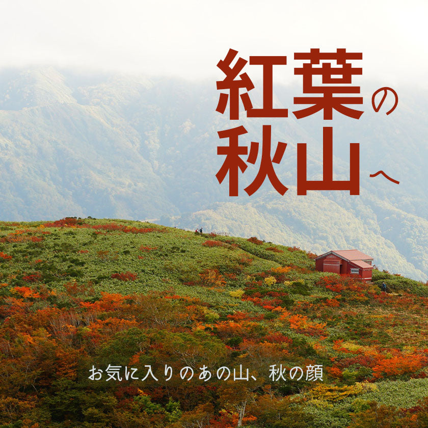 2023 | お気に入りのあの山の紅葉が気になる