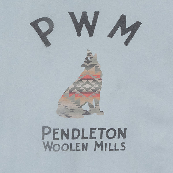 ペンドルトン メンズ ショートスリーブ ナショナルパークガーメントダイ バックプリントTシャツ スレイトブルー